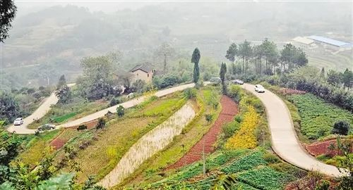 用愛心托起明天的太陽——九九智能環(huán)?！皭坌闹鷮W(xué)活動“走進新化縣楓木小學(xué)