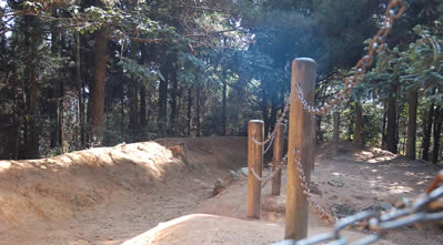 井岡山愛國主義和革命傳統(tǒng)專題教育的黨員活動